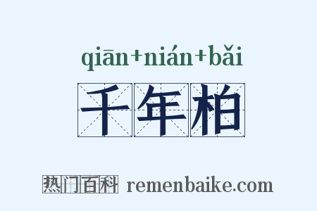 千年柏是什么意思的图片